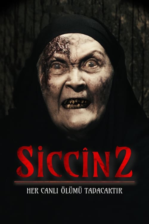 مشاهدة فيلم سجين 2 Siccin مترجم موقع قصة عشق الاصلي